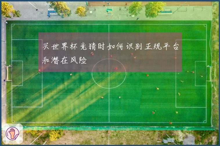 买世界杯竞猜时如何识别正规平台和潜在风险