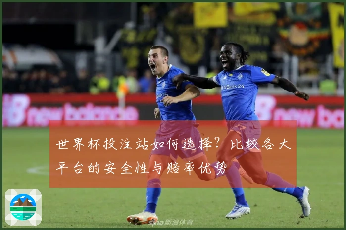 世界杯投注站如何选择？比较各大平台的安全性与赔率优势