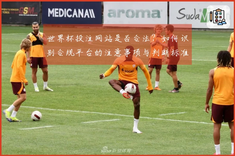 世界杯投注网站是否合法？如何识别合规平台的注意事项与判断标准