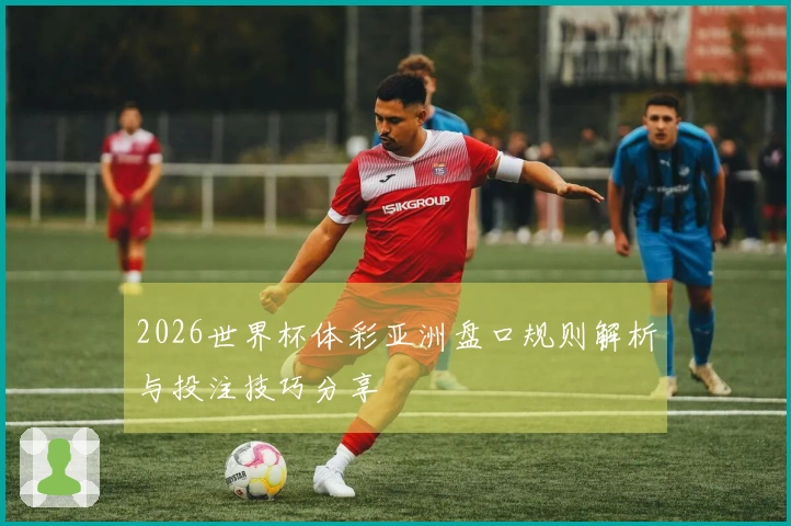 2026世界杯体彩亚洲盘口规则解析与投注技巧分享
