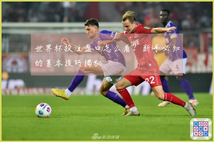 世界杯投注盘口怎么看？新手必知的基本技巧揭秘