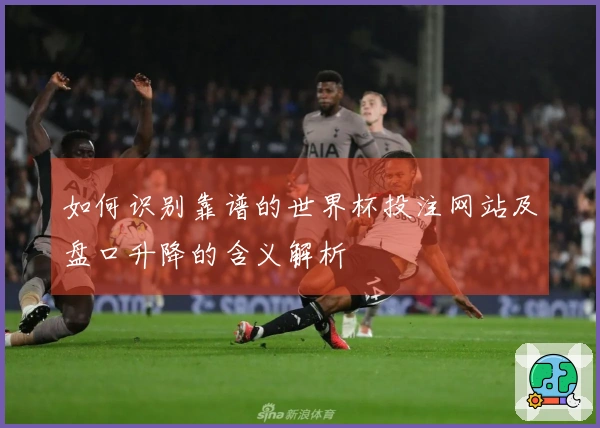 如何识别靠谱的世界杯投注网站及盘口升降的含义解析
